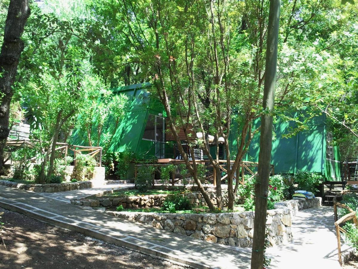 La Francesca Sud Un Villaggio"Glamping" Scario Bagian luar foto
