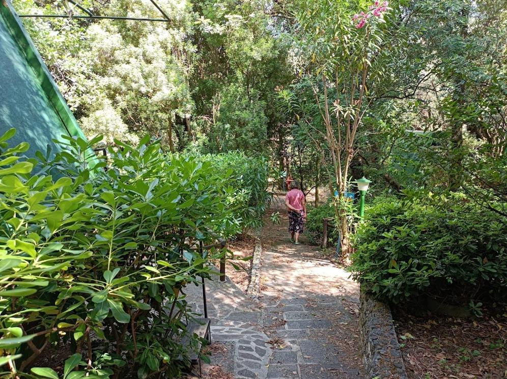 La Francesca Sud Un Villaggio"Glamping" Scario Bagian luar foto